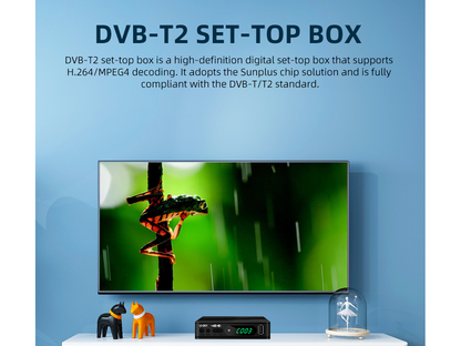 Digital Terrestrial TV Receiver