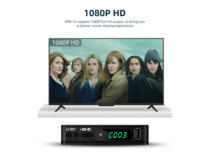 Digital Terrestrial TV Receiver