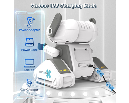 Rechargeable Remote Control Robot Toy with Touch