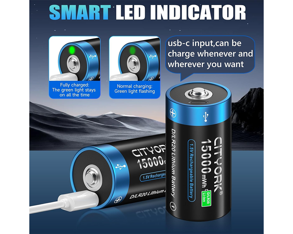 Rechargeable D Batteries 4 PCS