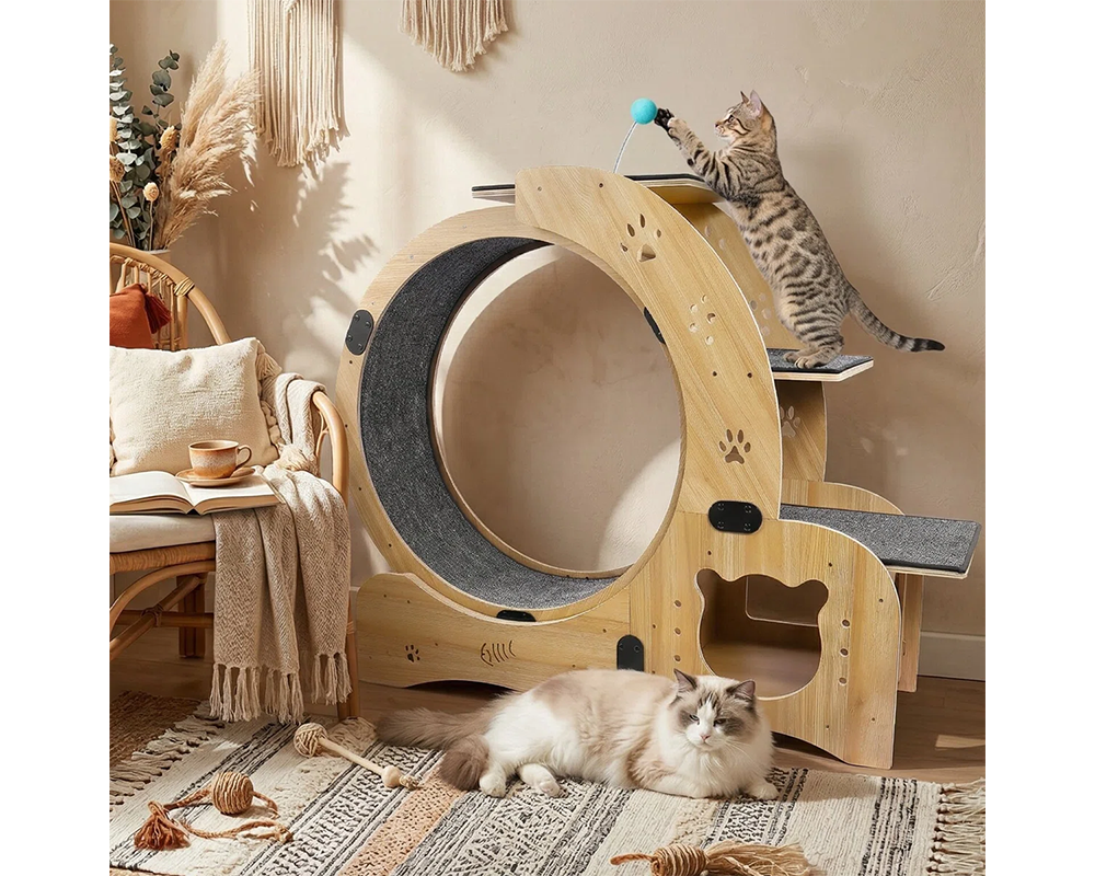 Cat Wheel Exercise