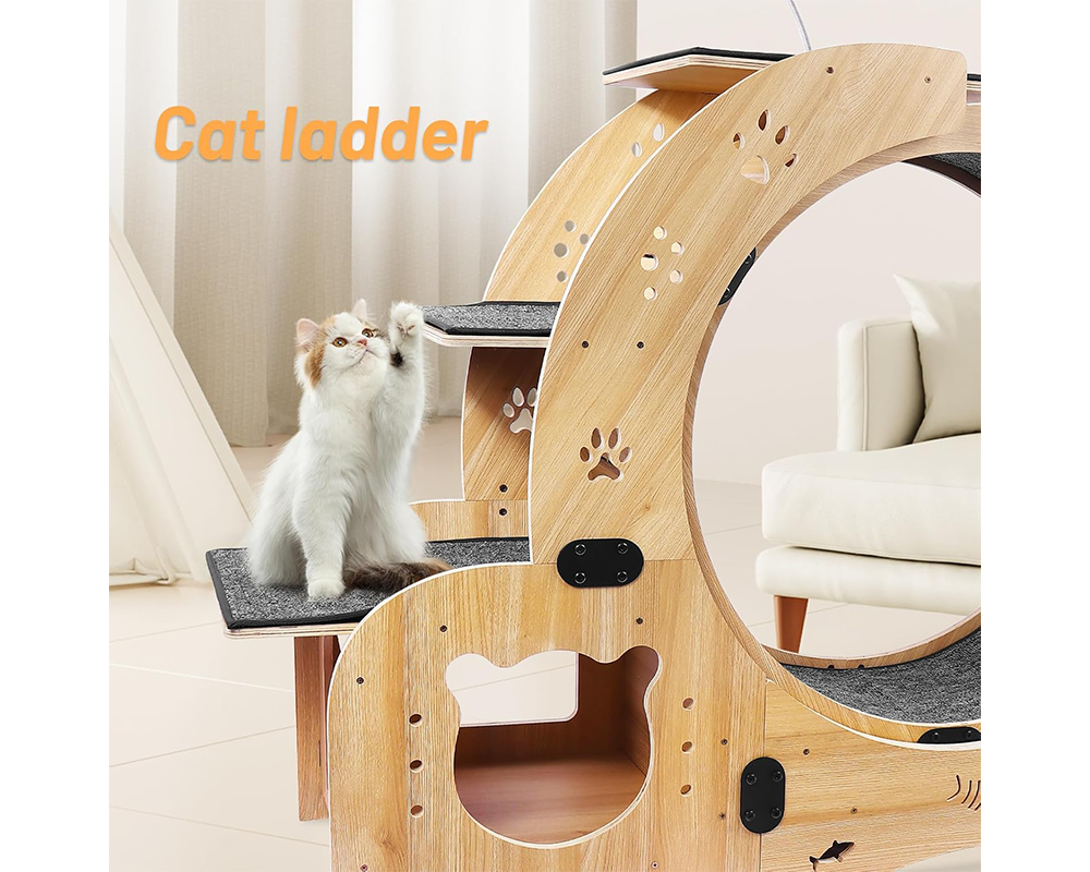 Cat Wheel Exercise