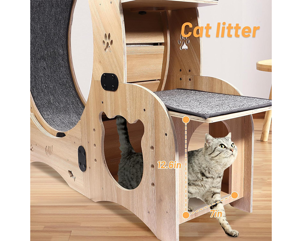 Cat Wheel Exercise