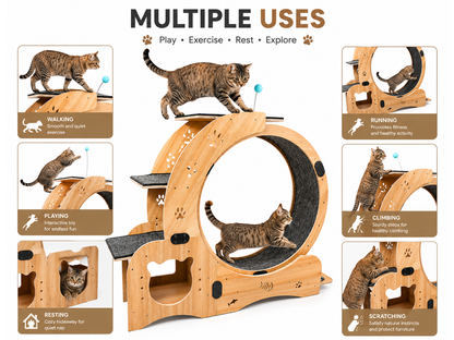 Cat Wheel Exercise