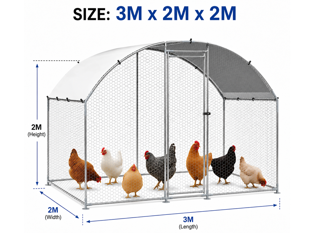 Outdoor Chicken Coop