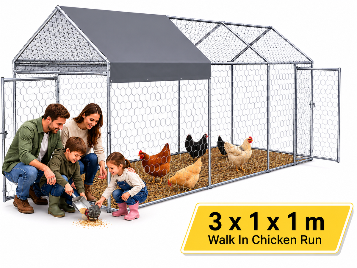 Outdoor Chicken Coop Run