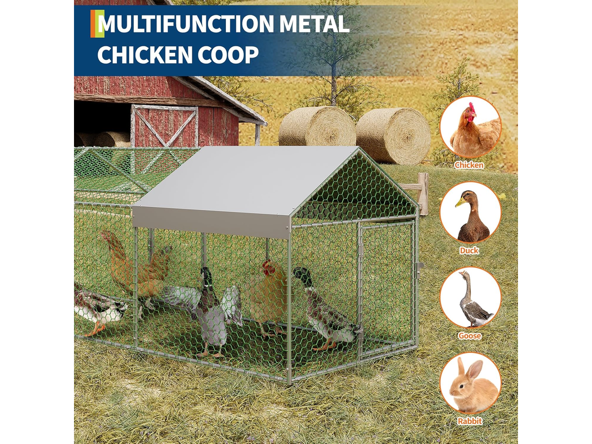 Outdoor Chicken Coop Run