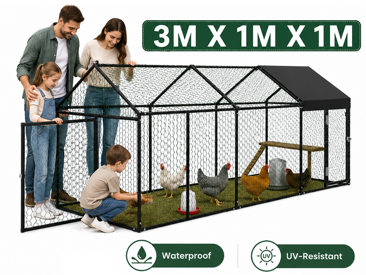 Outdoor Chicken Coop Run