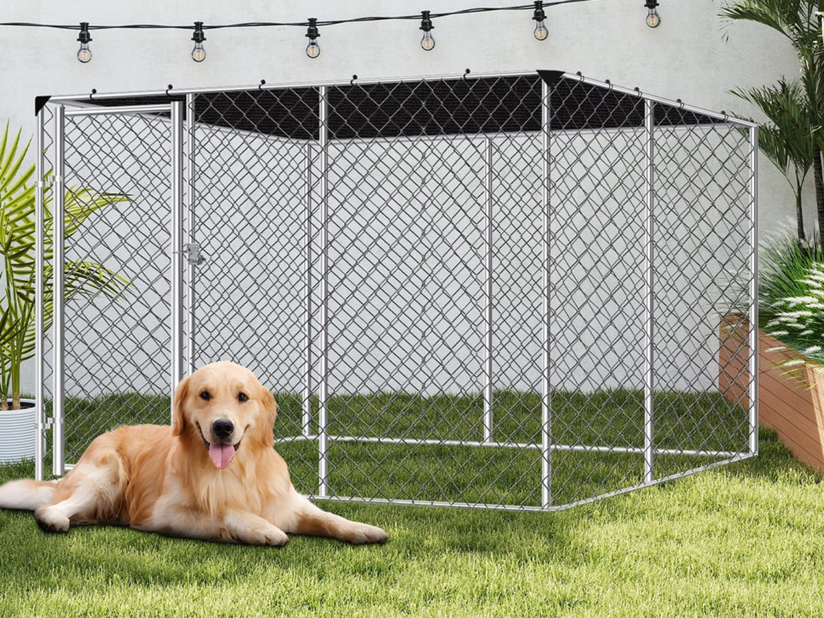 Outdoor Dog Run with Shade Sail