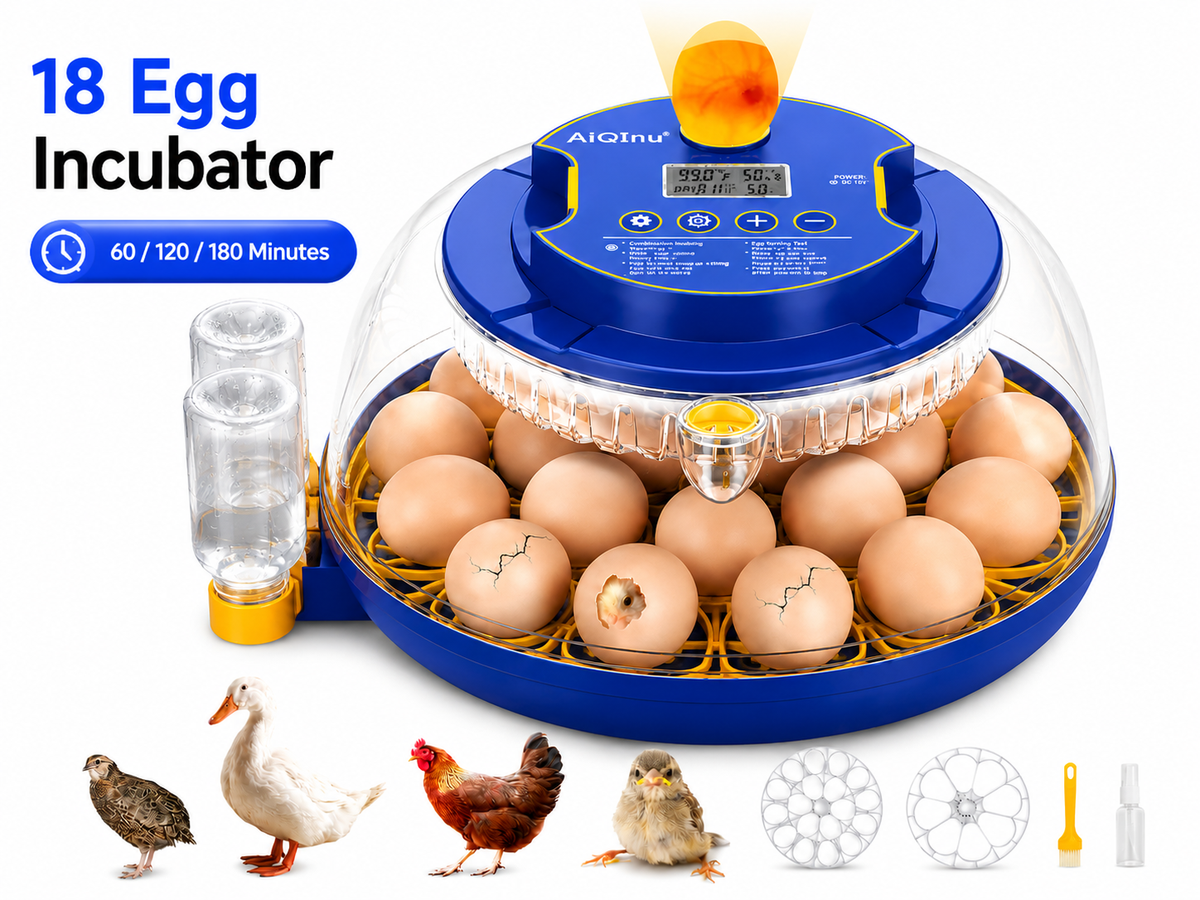 18 Eggs Incubators