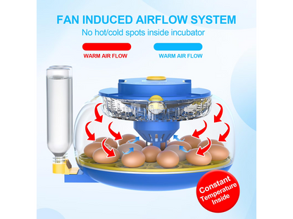 18 Eggs Incubators