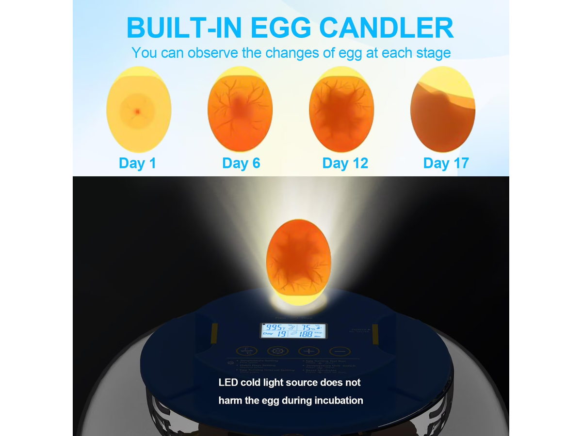18 Eggs Incubators