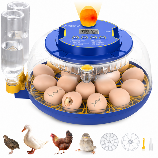 18 Eggs Incubators