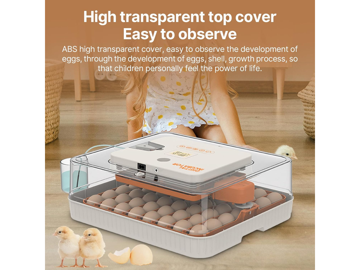 56-70 Eggs Egg Incubator