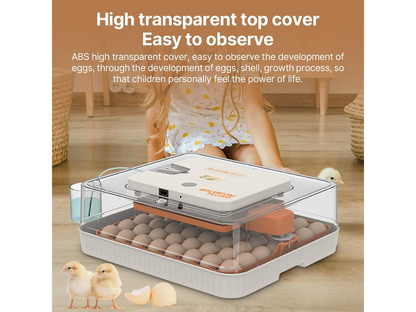56-70 Eggs Egg Incubator