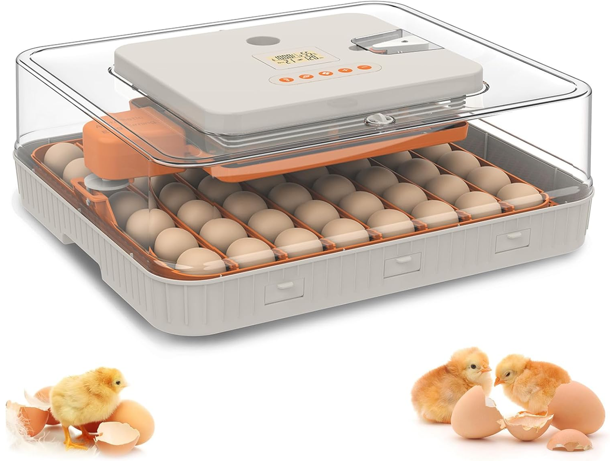 56-70 Eggs Egg Incubator