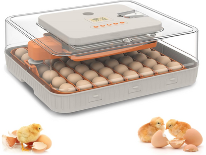 56-70 Eggs Egg Incubator