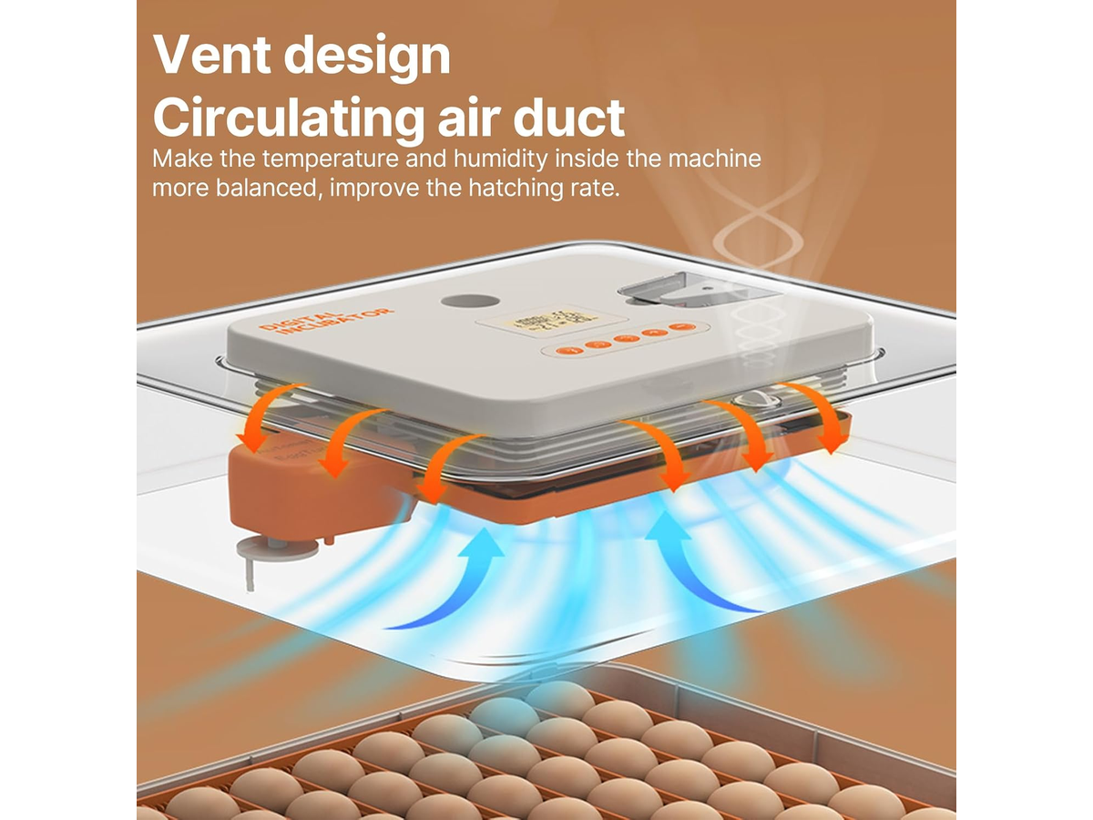 56-70 Eggs Egg Incubator