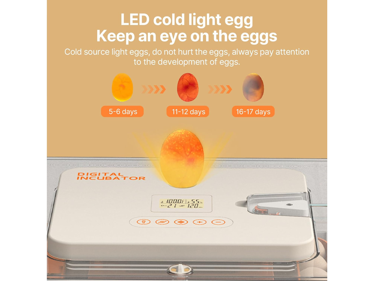 56-70 Eggs Egg Incubator