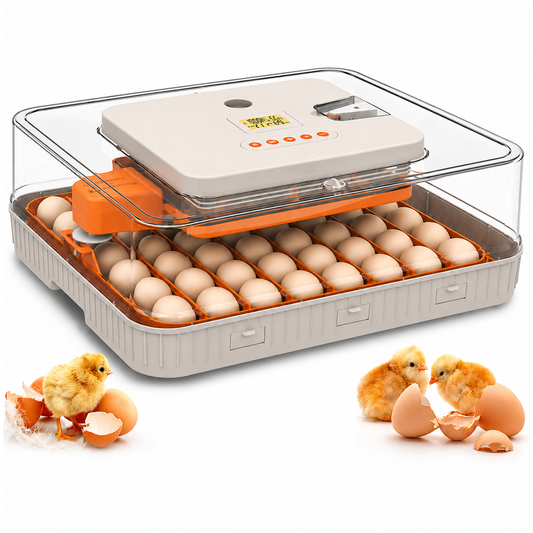 56-70 Eggs Egg Incubator