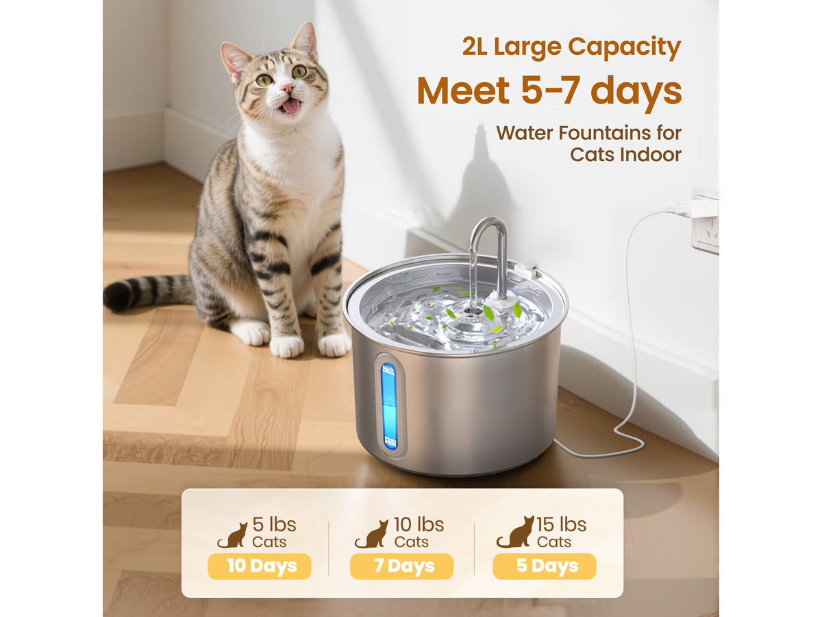 Cat Water Fountain Stainless Steel 2L