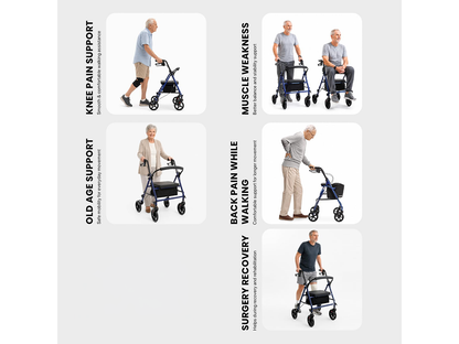 Folding Mobility Walker