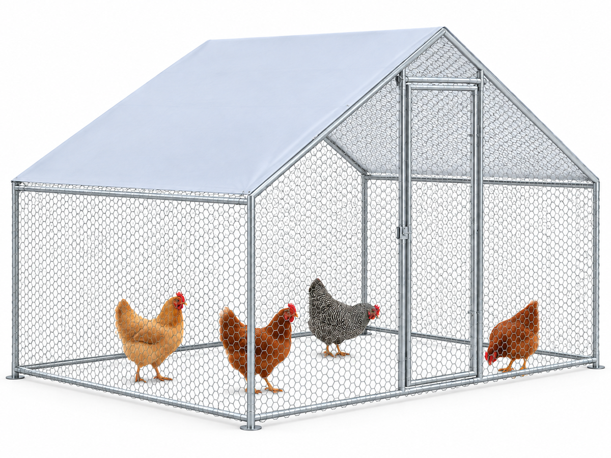 Outdoor Chicken Run with Roof Cover