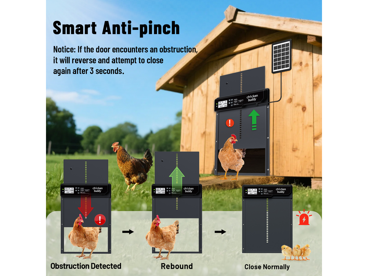 Automatic Chicken Coop Door Opener