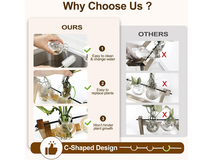 Glass Plant Terrarium
