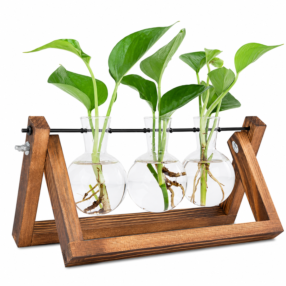 Glass Plant Terrarium