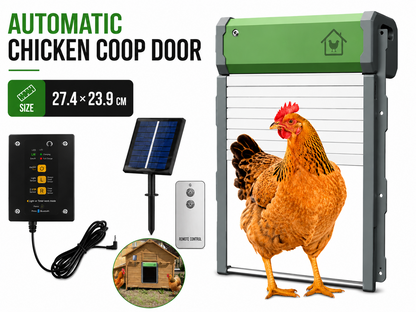 Automatic chicken coop door