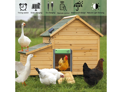 Automatic chicken coop door