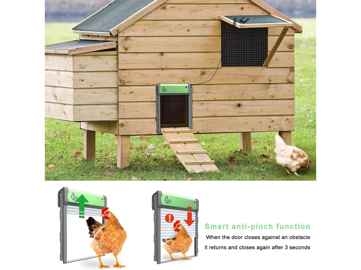 Automatic chicken coop door