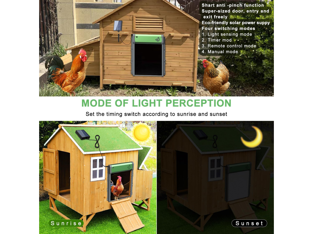 Automatic chicken coop door