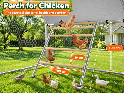 Large Chicken Coop Run