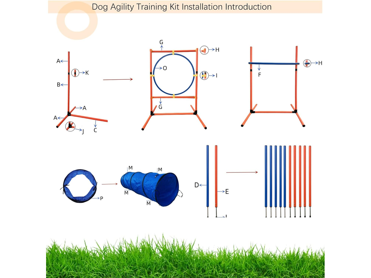 Dog Agility Training Equipment Set