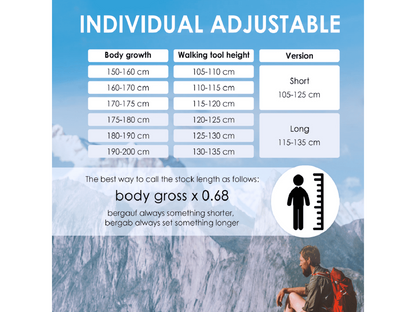 Trekking Poles (Pair)