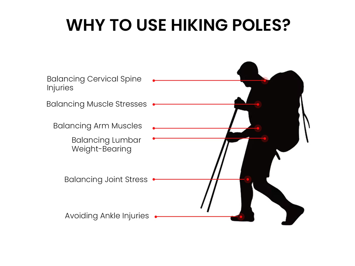 Trekking Poles (Pair)
