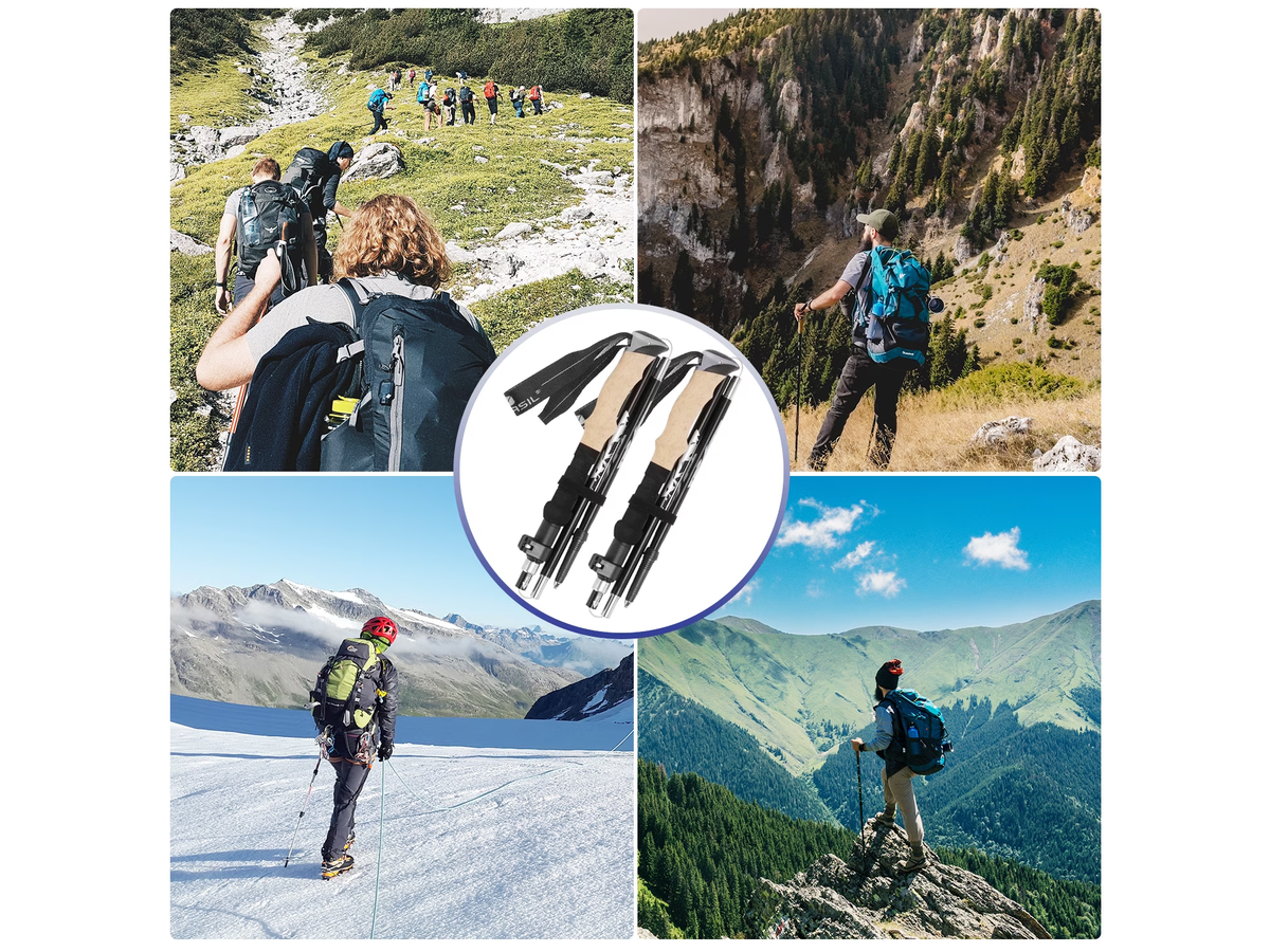 Trekking Poles (Pair)