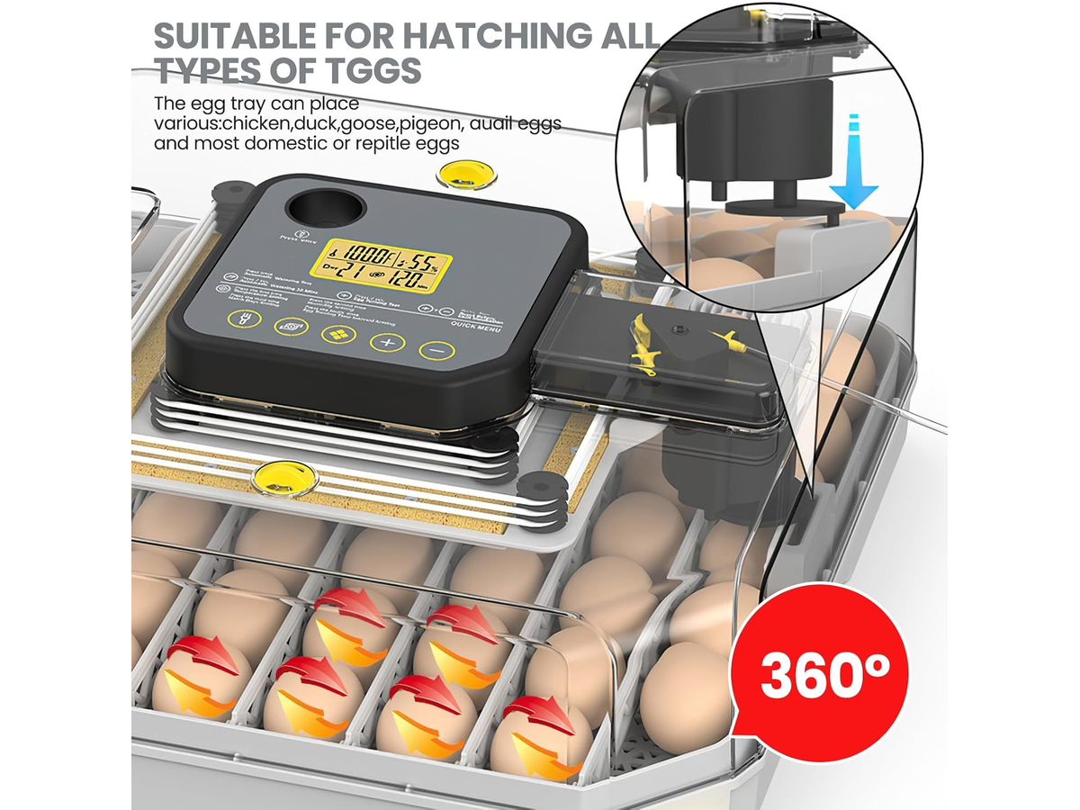 Automatic Egg Incubator