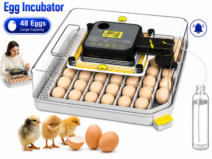 Automatic Egg Incubator