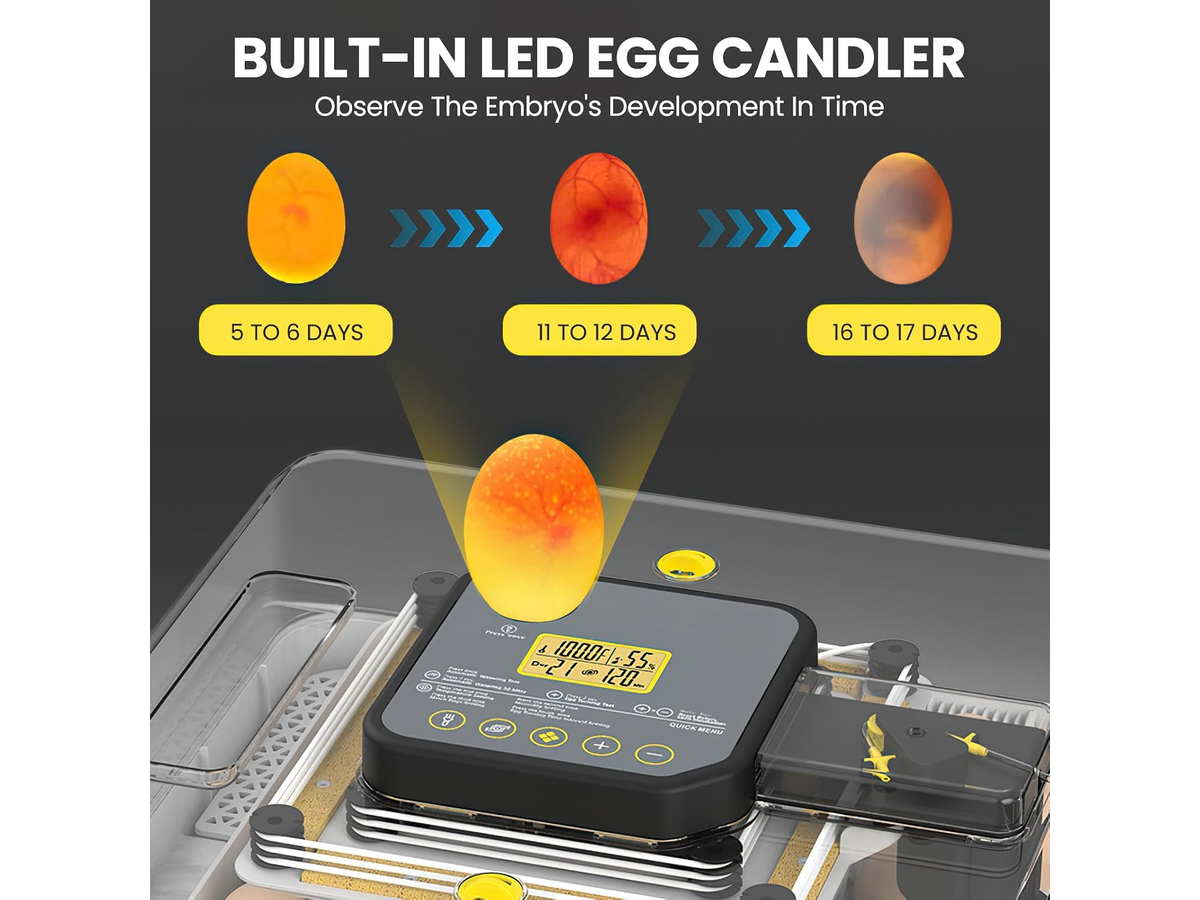 Automatic Egg Incubator