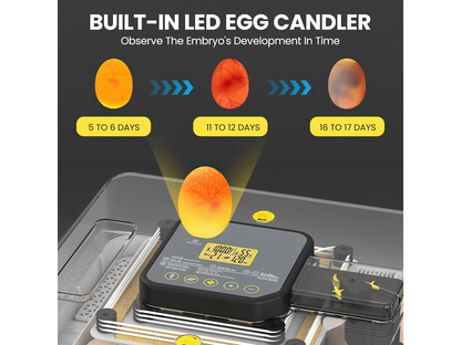 Automatic Egg Incubator