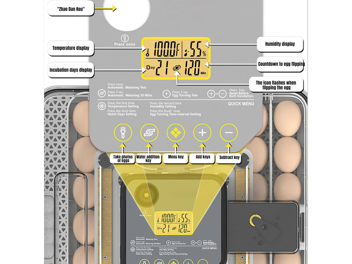 Automatic Egg Incubator