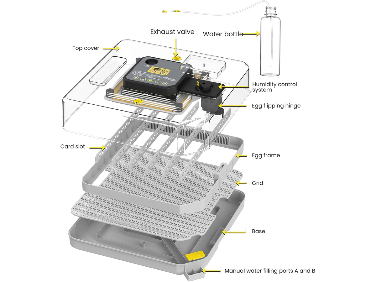 Automatic Egg Incubator