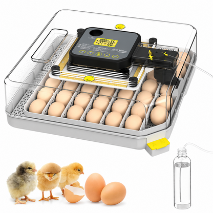 Automatic Egg Incubator