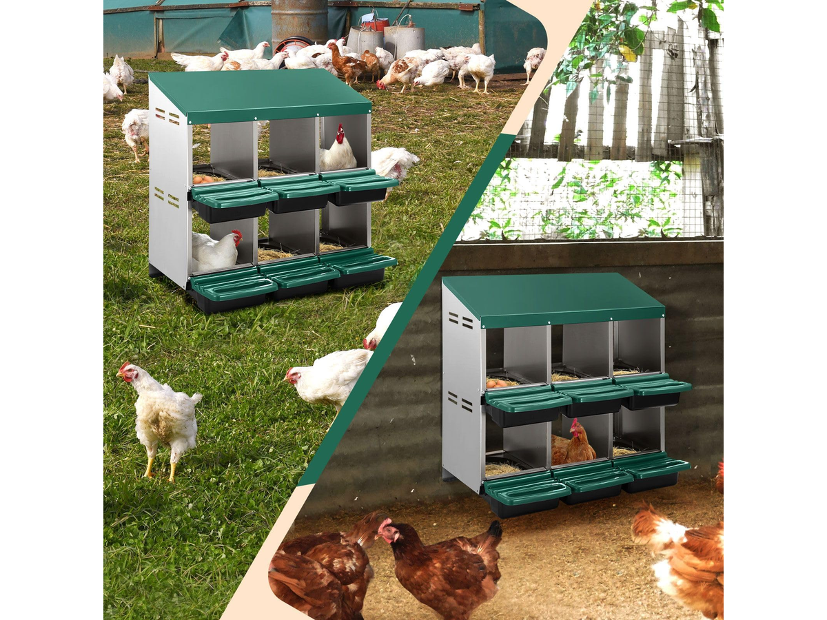 Chicken Nesting Box With 6 nests