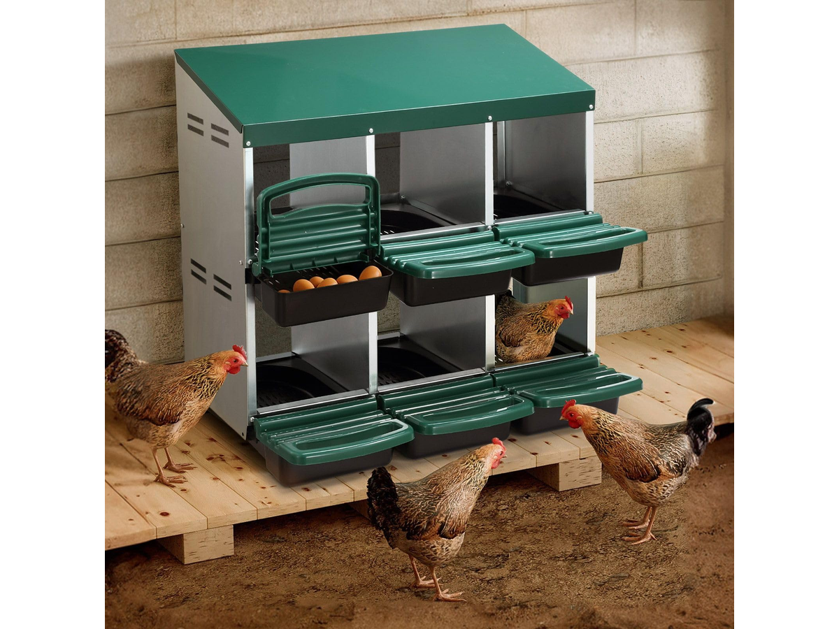 Chicken Nesting Box With 6 nests