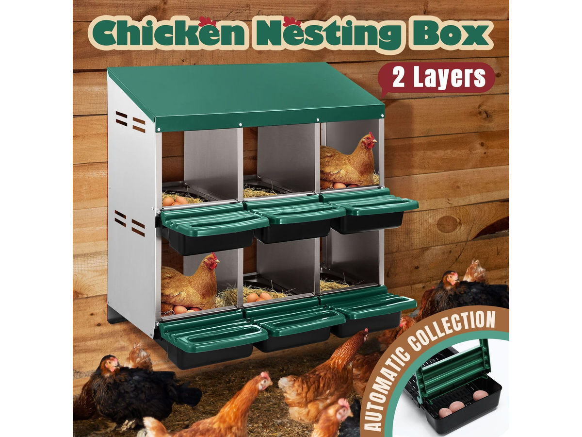 Chicken Nesting Box With 6 nests