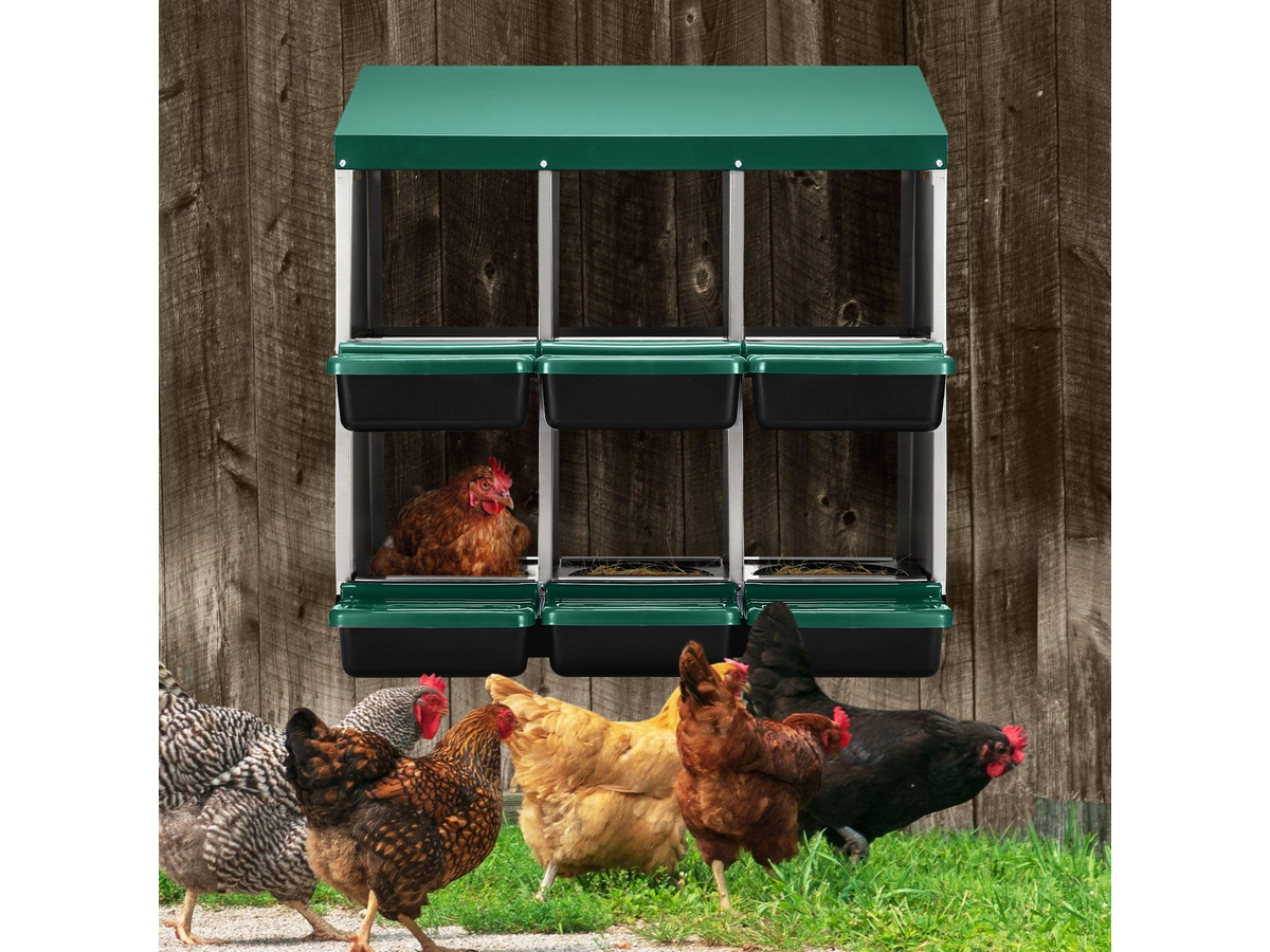 Chicken Nesting Box With 6 nests